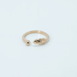 Flying feather ring